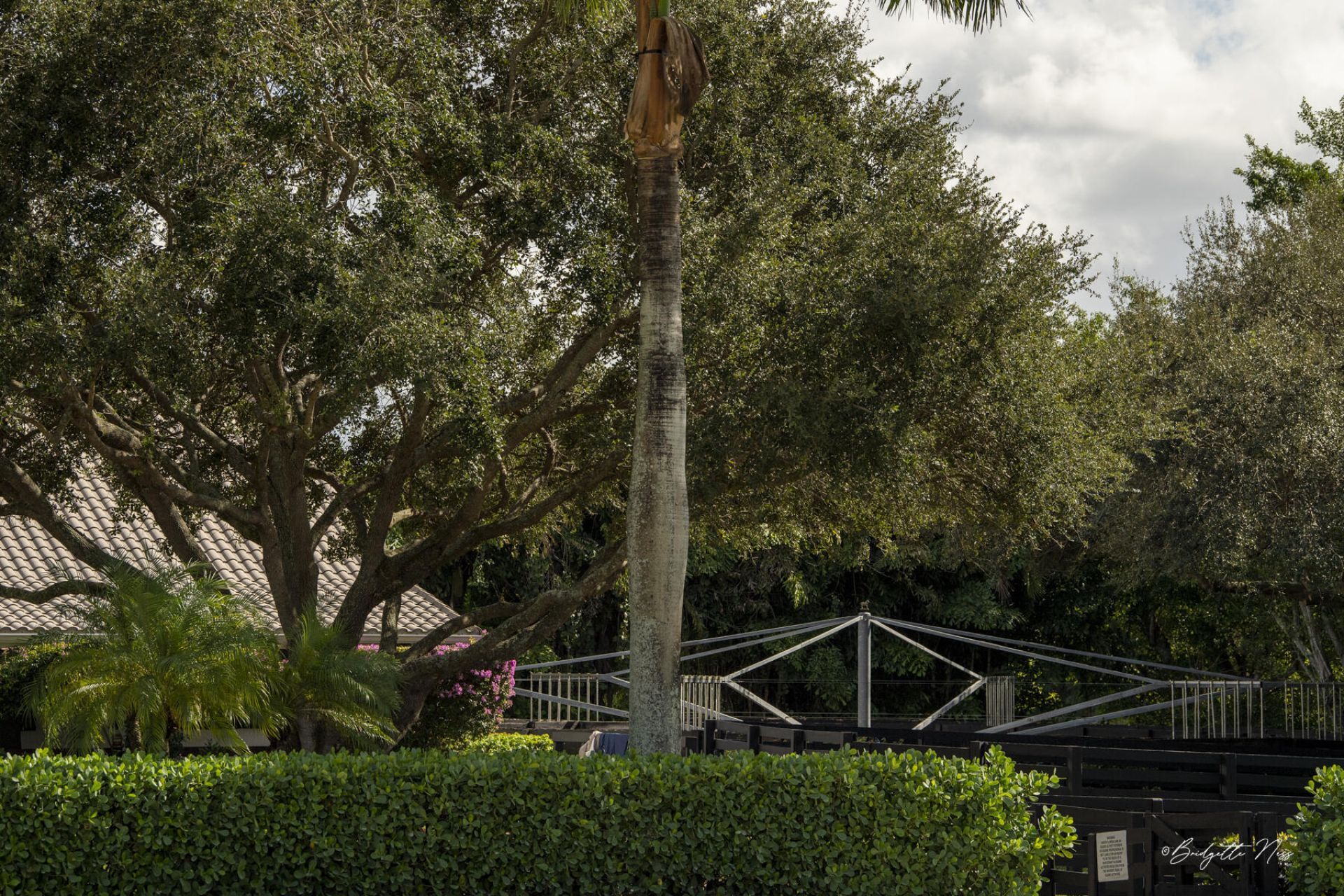 2440 Appaloosa Trail, Wellington, FL 33414 Photo