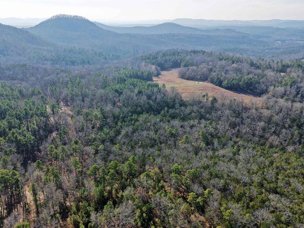 196 Gorby Road, Calico Rock, AR 72519