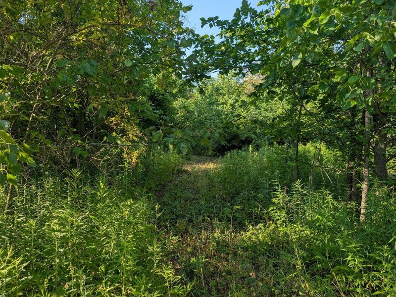 13631 Leeper-Perkins Road , Marysville, OH 43040 Photo 7