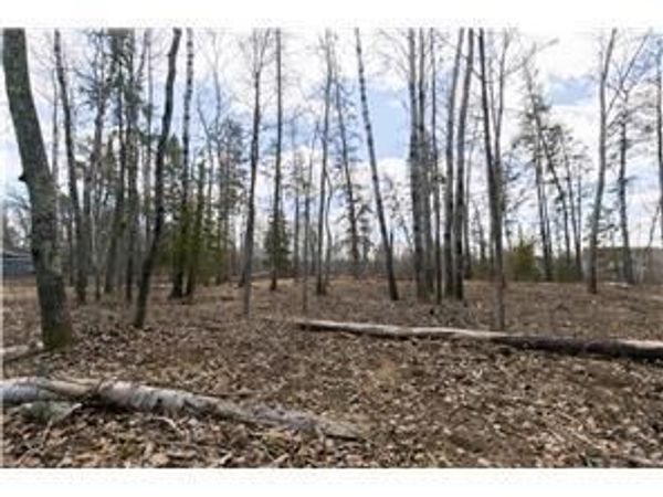 xxxx County 37 , Laporte, MN 56461
