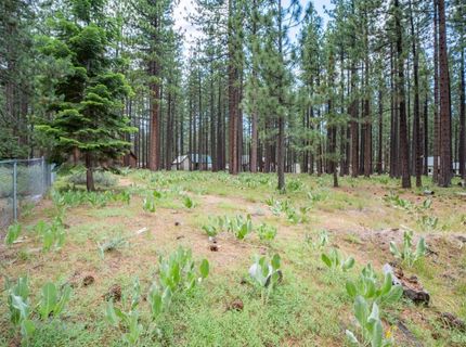 1126 Johnson Boulevard, South Lake Tahoe, CA 96150 Photo