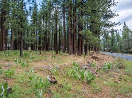 1126 Johnson Boulevard, South Lake Tahoe, CA 96150 Photo