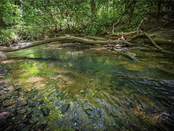 LT1-1A Jonica Gap Road , Mineral Bluff, GA 30559