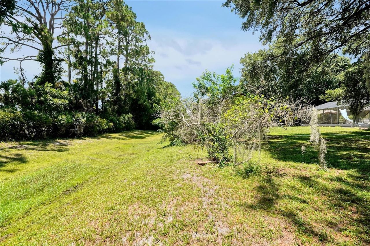 3640 Wood Duck Drive , Mims, FL 32754 Photo