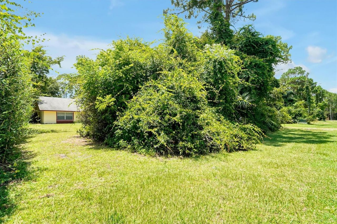 3640 Wood Duck Drive , Mims, FL 32754 Photo