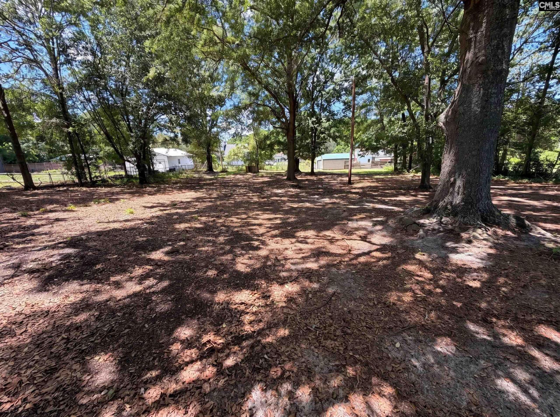 1020 Pisgah Church Road  Photo 25