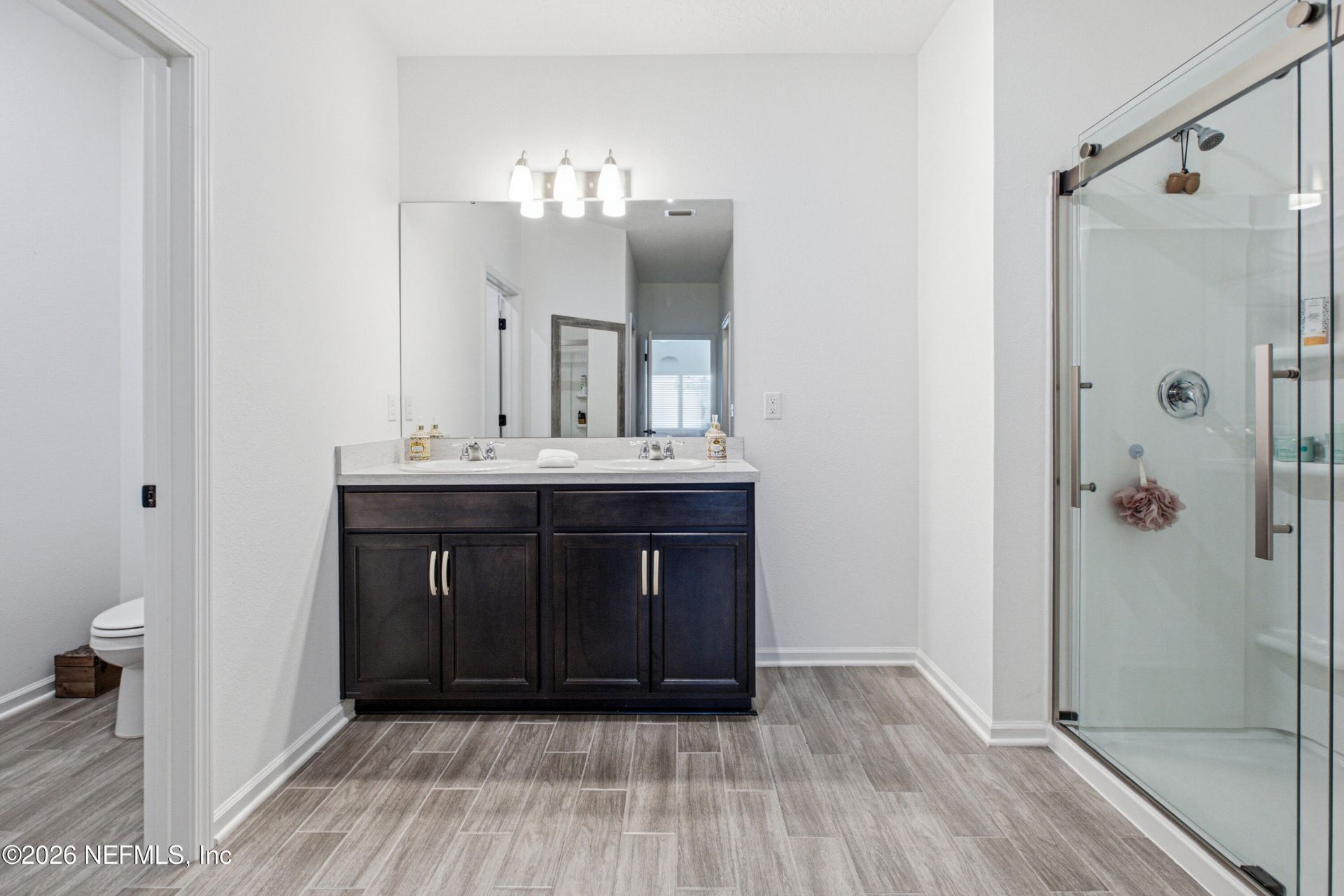 2928 Firethorn Avenue, Orange Park, FL 32073 Photo