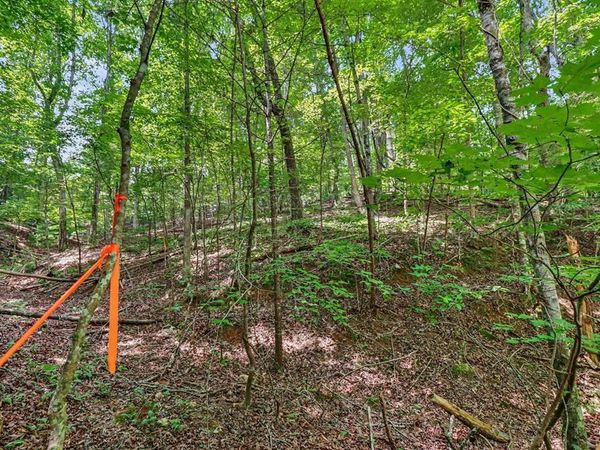 148 Alcan Way, Ellijay, GA 30540