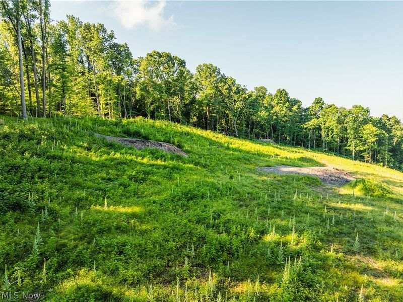7413 Township Road 129, Millersburg, OH 44654 Photo 5