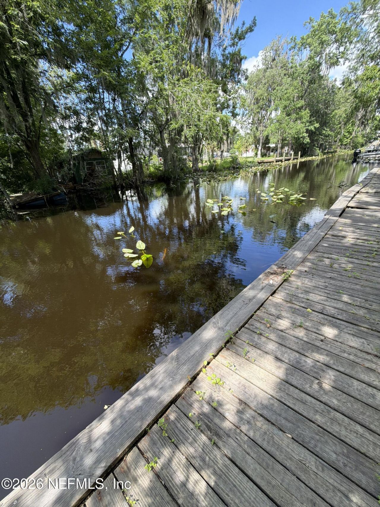 321 Paradise Circle, Satsuma, FL 32189 Photo