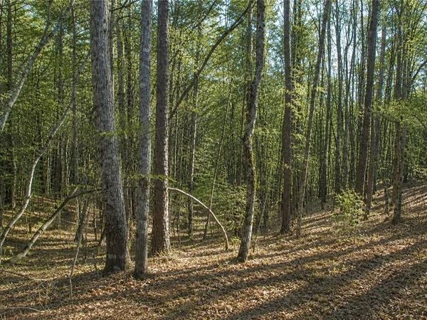 Lot 24 Waldrip Road, Dawsonville, GA 30534