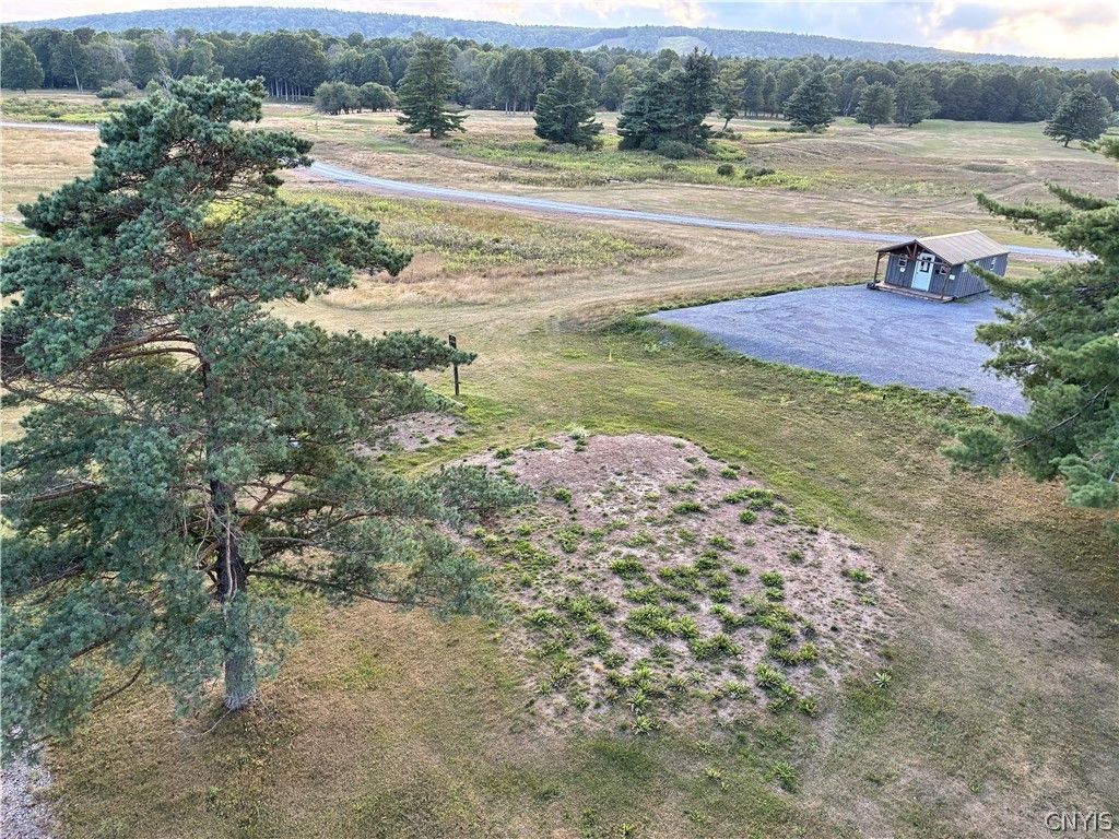 Lot 4 4457 East Road, Turin, NY 13473 Main Photo