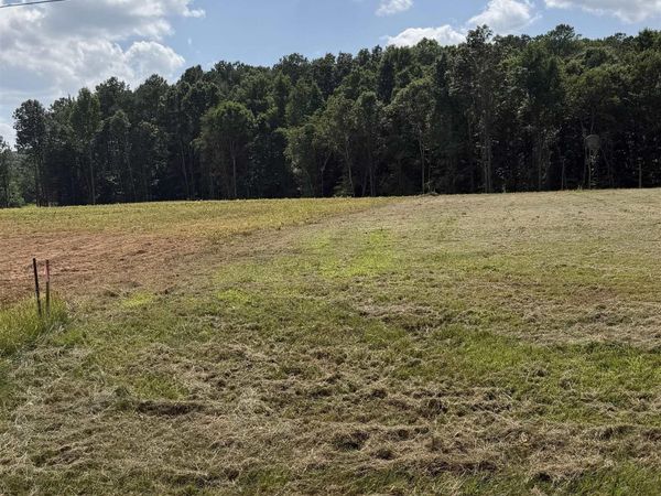1556 Bluff City Road, Somerville, AL 35670