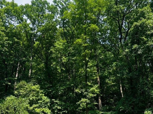 400 Northwoods Trail, Gadsden, AL 35901