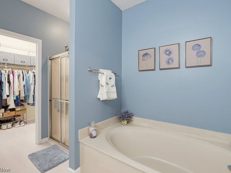 8578 Pine Creek Lane, Northfield, OH 44067 Photo 22