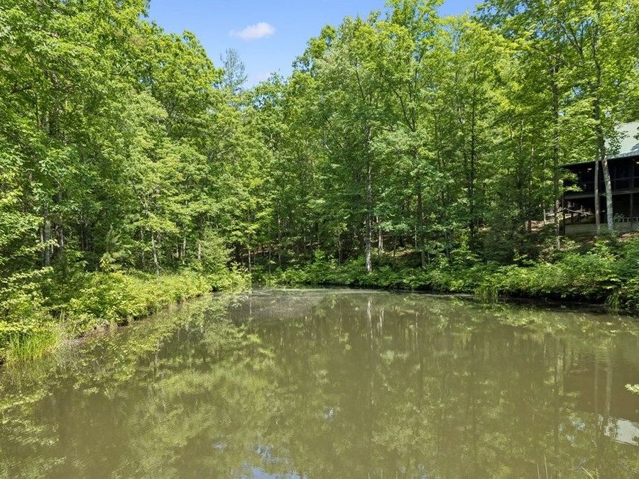 Property Image 61