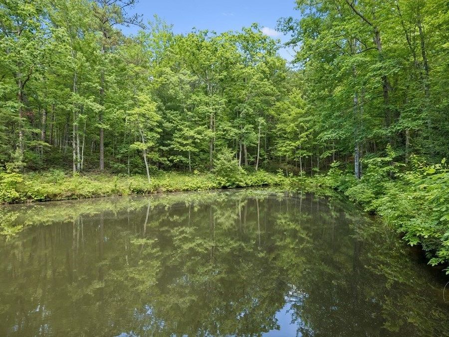 Property Image 67