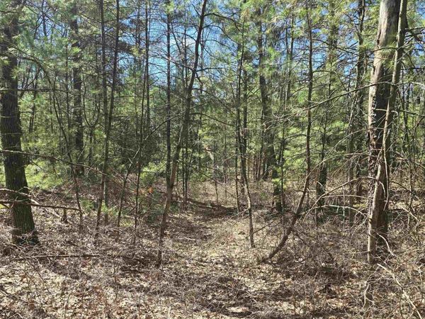 4699 Johnson Road, Oscoda, MI 48750