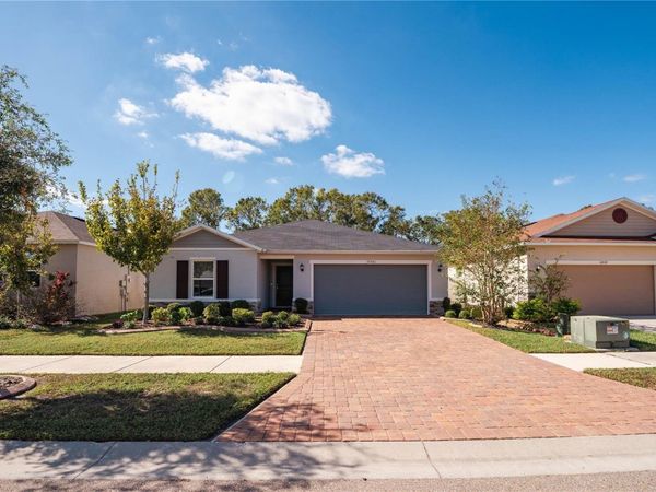 10561 LAGUNA PLAINS DRIVE , RIVERVIEW, FL 33578