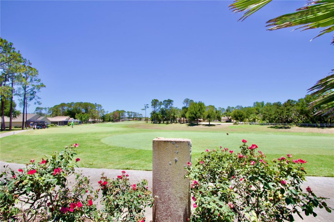 11205 Edge Park Drive , Hudson, FL 34667 Photo