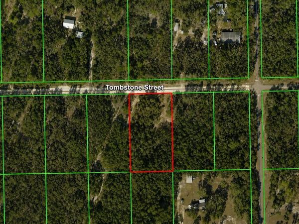 33240 TOMBSTONE STREET , WEBSTER, FL 33597