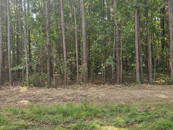 0 Academy Lane, Rutledge, GA 30663
