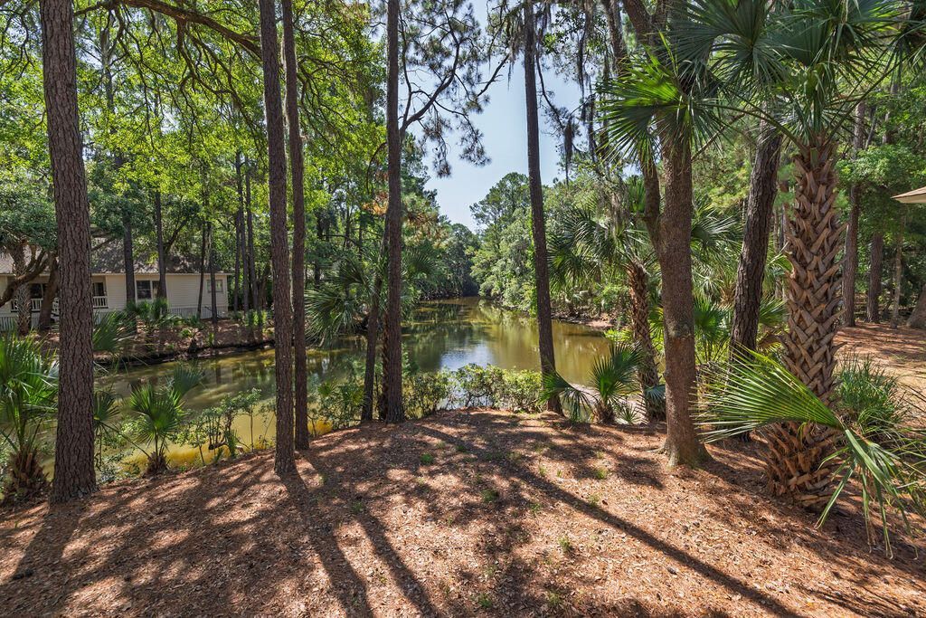 2143 Royal Pine Drive Photo 22