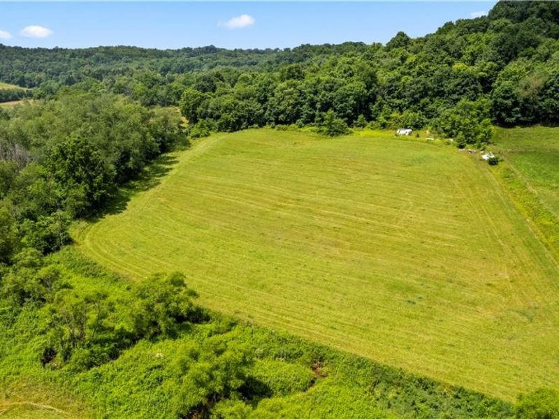 9145 Cologne Road SW, Bowerston, OH 44695 Photo 15