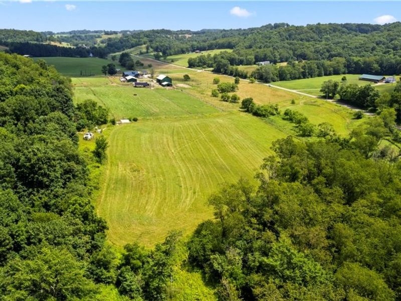 9145 Cologne Road SW, Bowerston, OH 44695 Photo 21