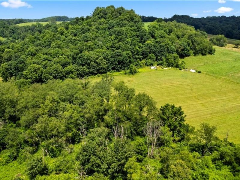 9145 Cologne Road SW, Bowerston, OH 44695 Photo 22