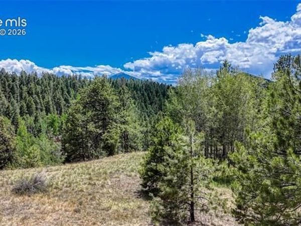218 Princess Road, Cripple Creek, CO 80813