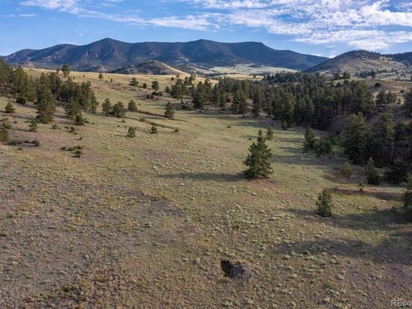 0 Big Buck Road, Guffey, CO 80820