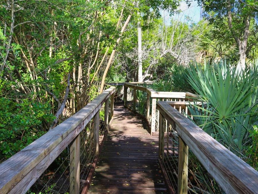 Property Image 53