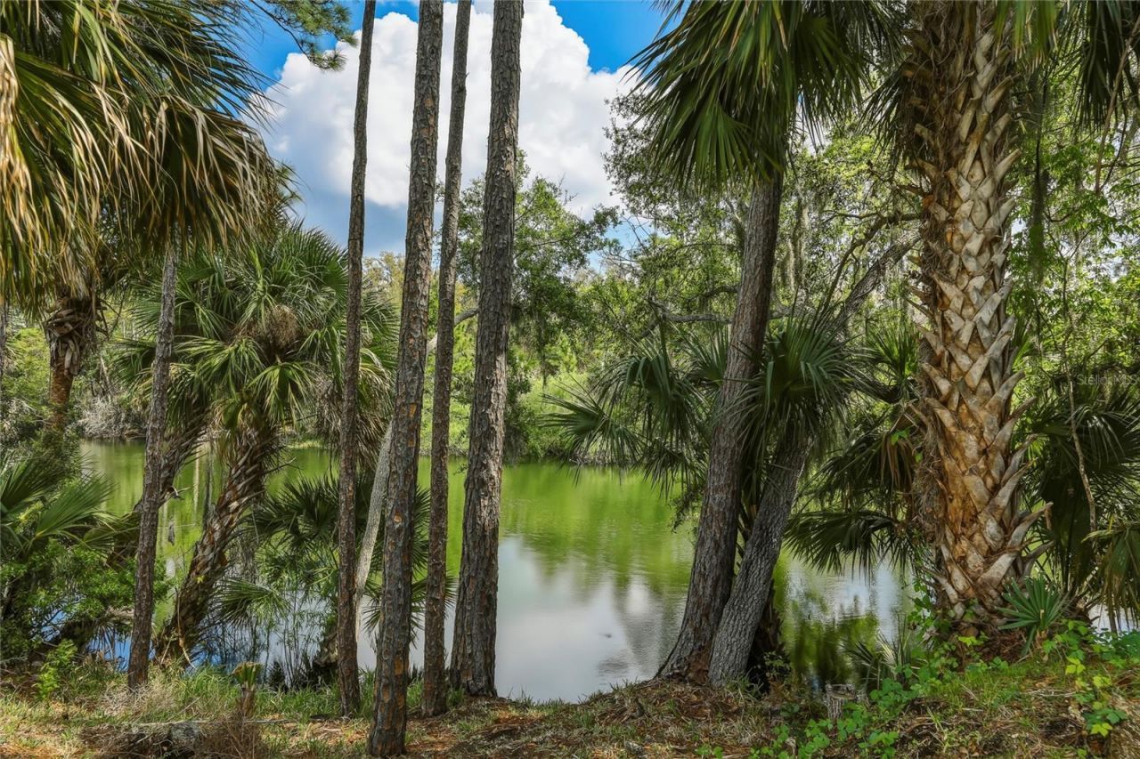 5573 Reagan Avenue , Titusville, FL 32780 Photo