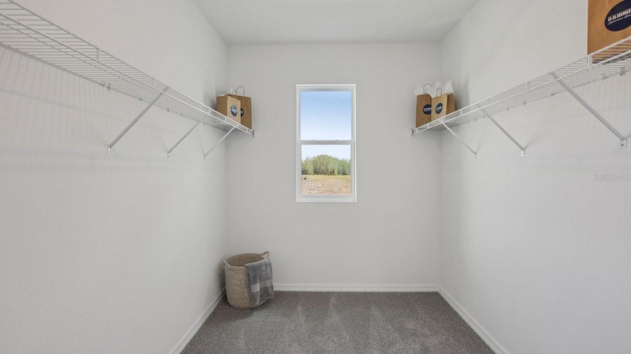 7088 Flint Creek Drive , Land O Lakes, FL 34638 Photo