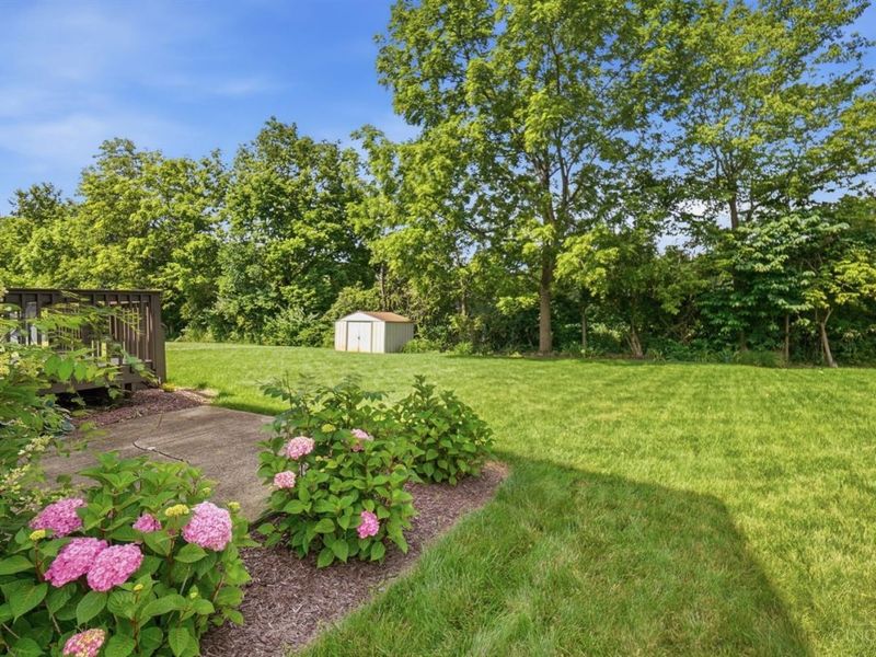 1447 Meadow Ridge Circle, Wilmington, OH 45177 Photo 43