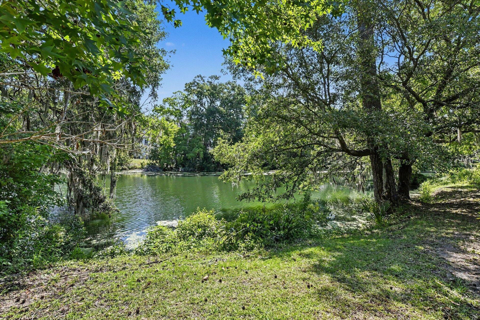 3176 Hagerty Drive Photo 22