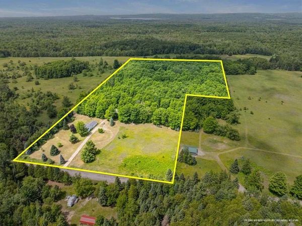 1228 Beckon Road, Pellston, MI 49769