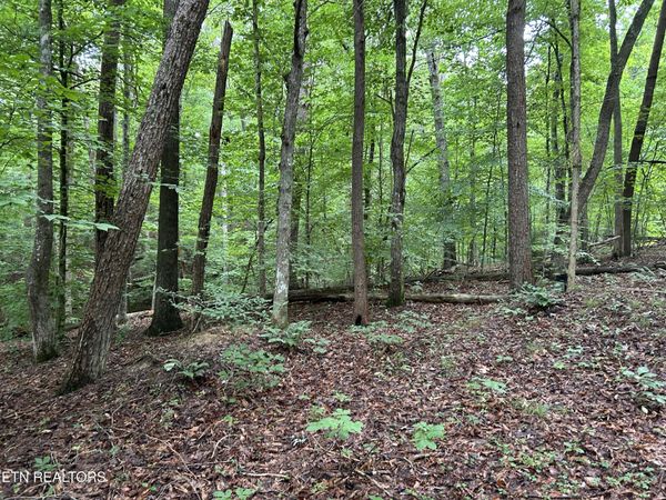 223 West Snowflake Rd, Surgoinsville, TN 37873