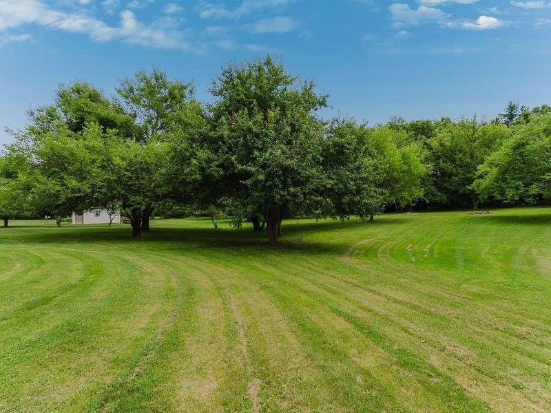 6213 Duffy Road, Delaware, OH 43015 Photo 76