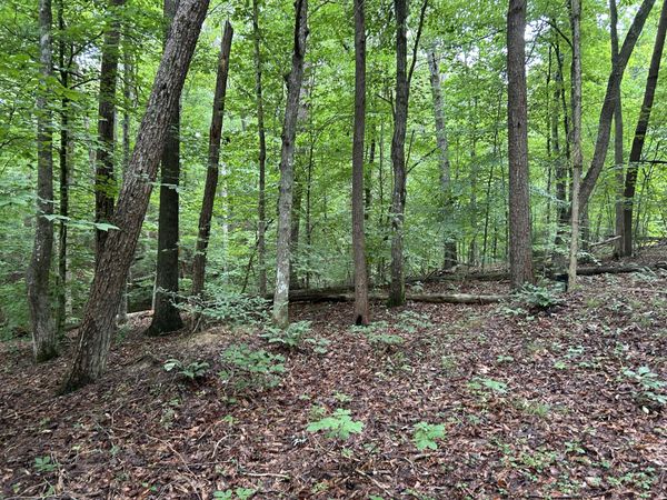 223 West Snowflake Road, Surgoinsville, TN 37873