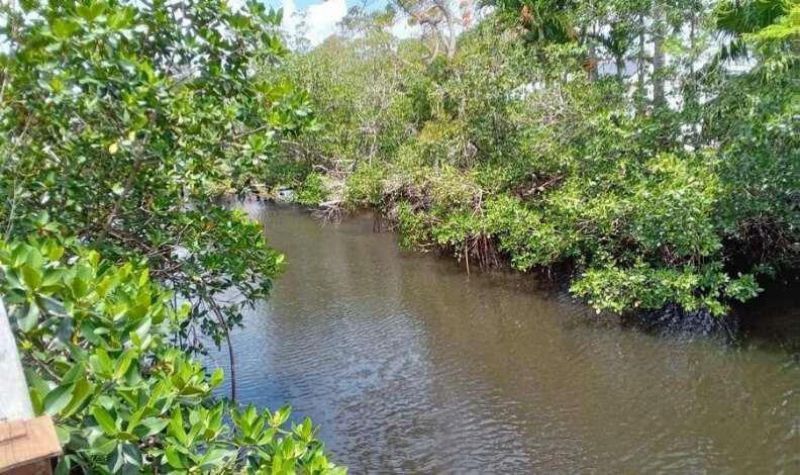 596 Greenwood Drive, Jupiter, FL 33458 Photo