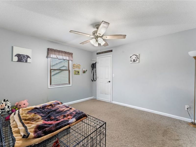 224 Misty Woods Court, Struthers, OH 44471 Photo 16