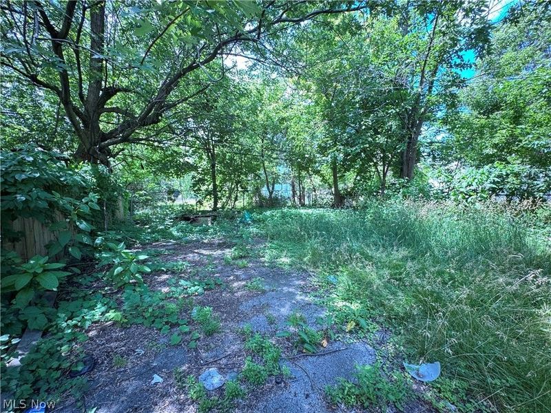 540 E 123rd Street, Cleveland, OH 44108 Photo 34