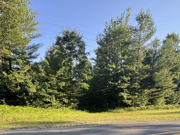 V/L E 8 Mile Road, Luther, MI 49656