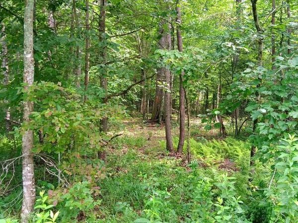 76 Pine Road, Pikeville, TN 37367