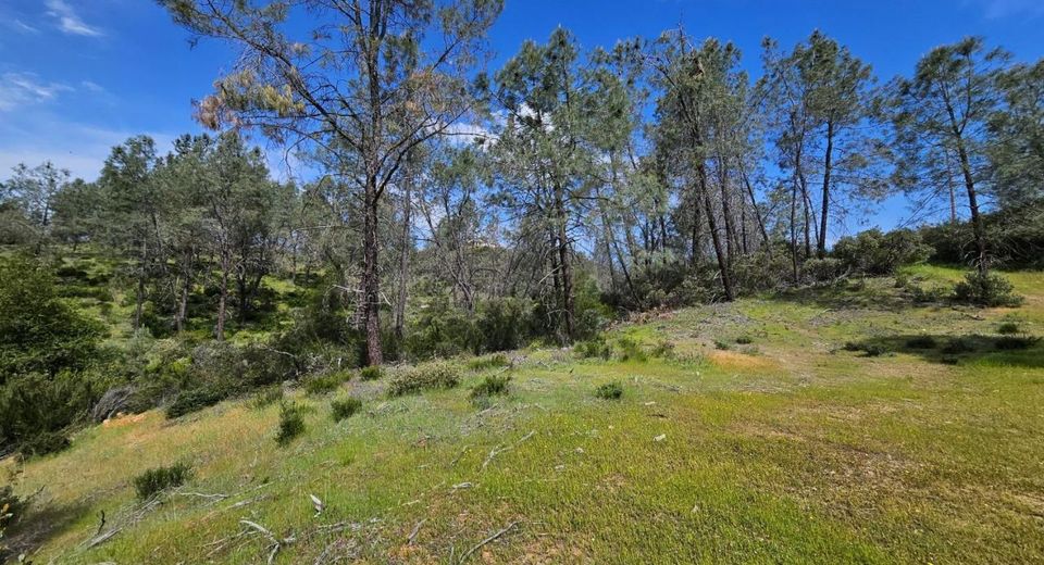 1641 Hidden Bridge Rd, El Dorado Hills, CA 95762 Photo