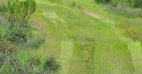 1641 Hidden Bridge Rd, El Dorado Hills, CA 95762 Photo