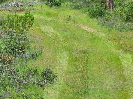 1641 Hidden Bridge Rd, El Dorado Hills, CA 95762 Photo