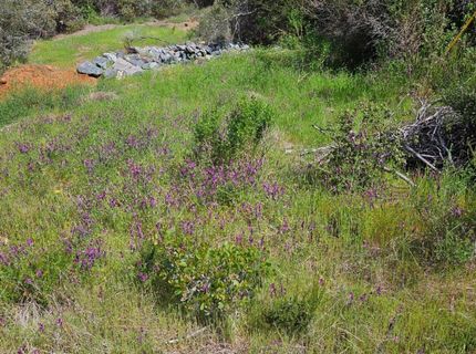 1641 Hidden Bridge Rd, El Dorado Hills, CA 95762 Photo